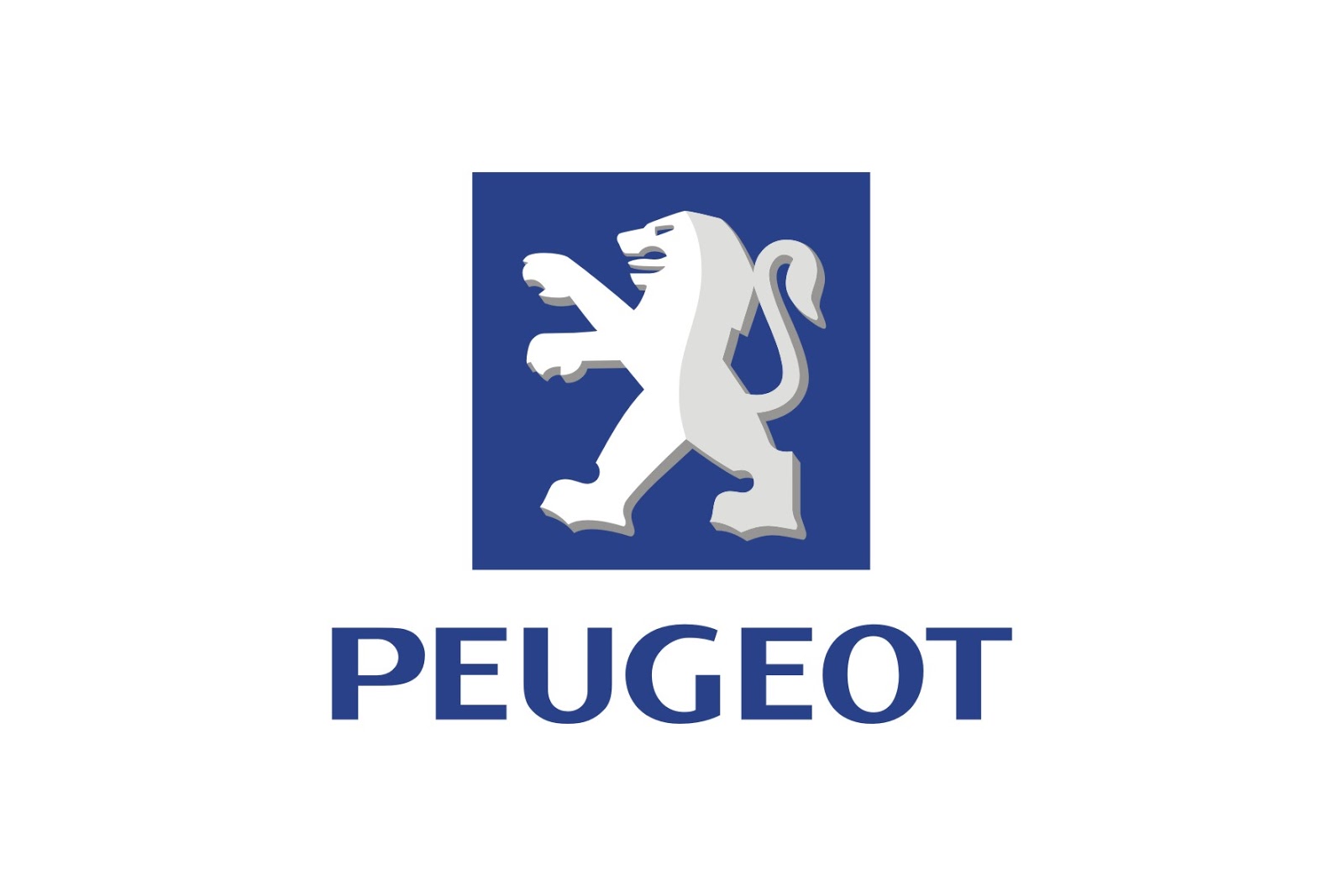 Anéis de Pistão - PEUGEOT